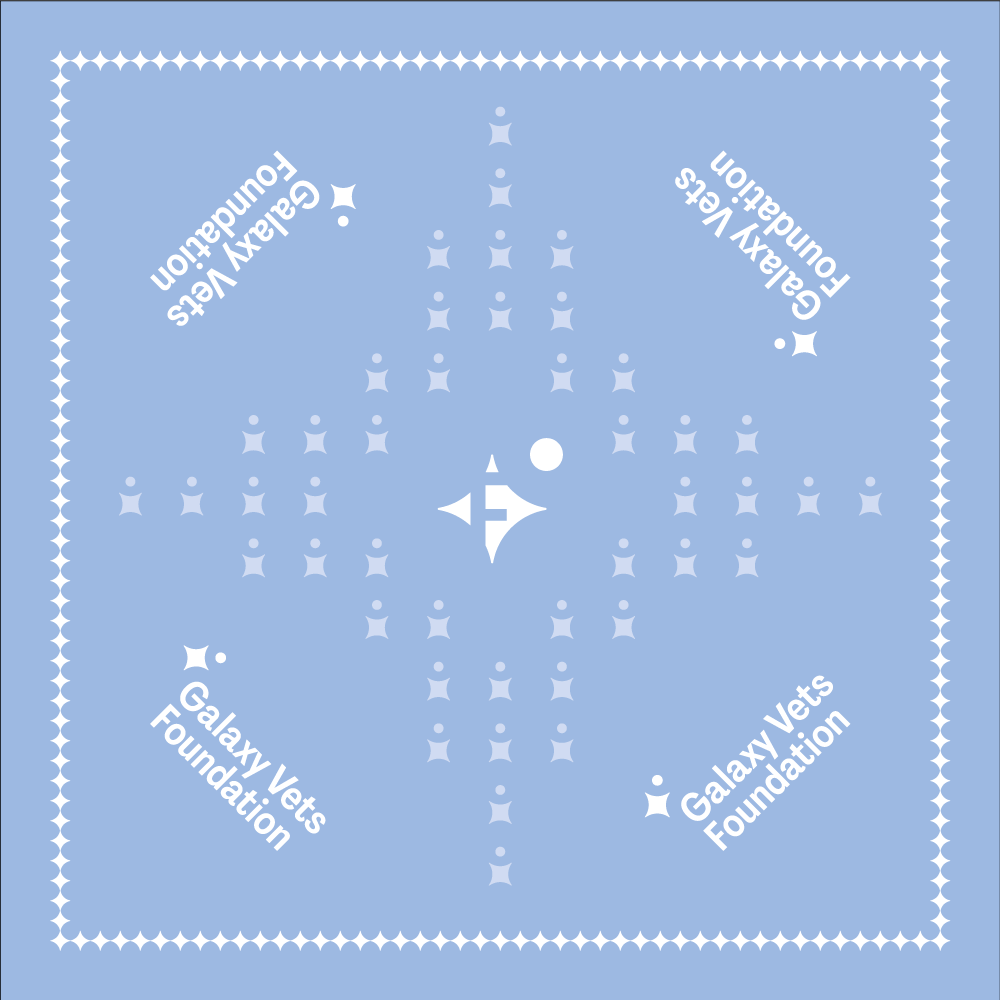 Galaxy Vets Doggie Bandana