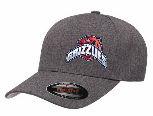 Grizzlies Fitted Cap