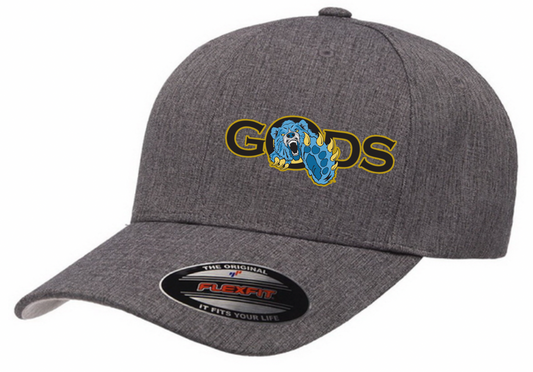 GODs Fitted Cap