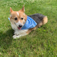 Galaxy Vets Doggie Bandana